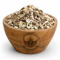 ANGELICA ROOT CUT