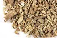 ECHINACEA ROOT