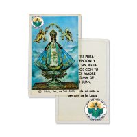 VIRGEN DE SAN JUAN ESTAMPITA