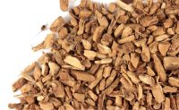 BITTER ROOT