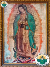 OUR LADY OF GUADALUPE 8X10 PICTURE