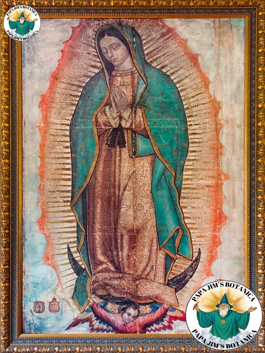 OUR LADY OF GUADALUPE 8X10 PICTURE