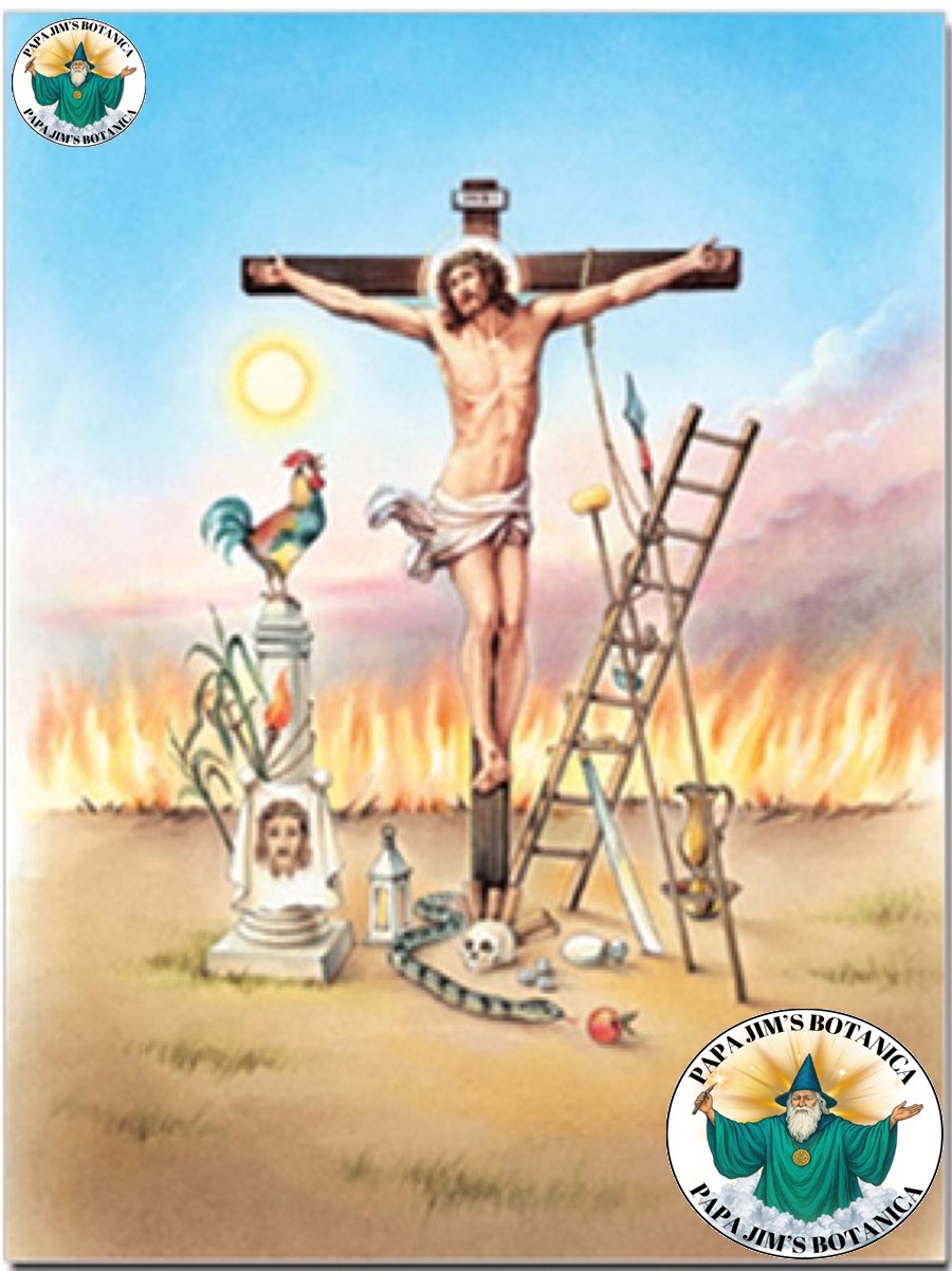 JUSTO JUEZ 8X10 PICTURE