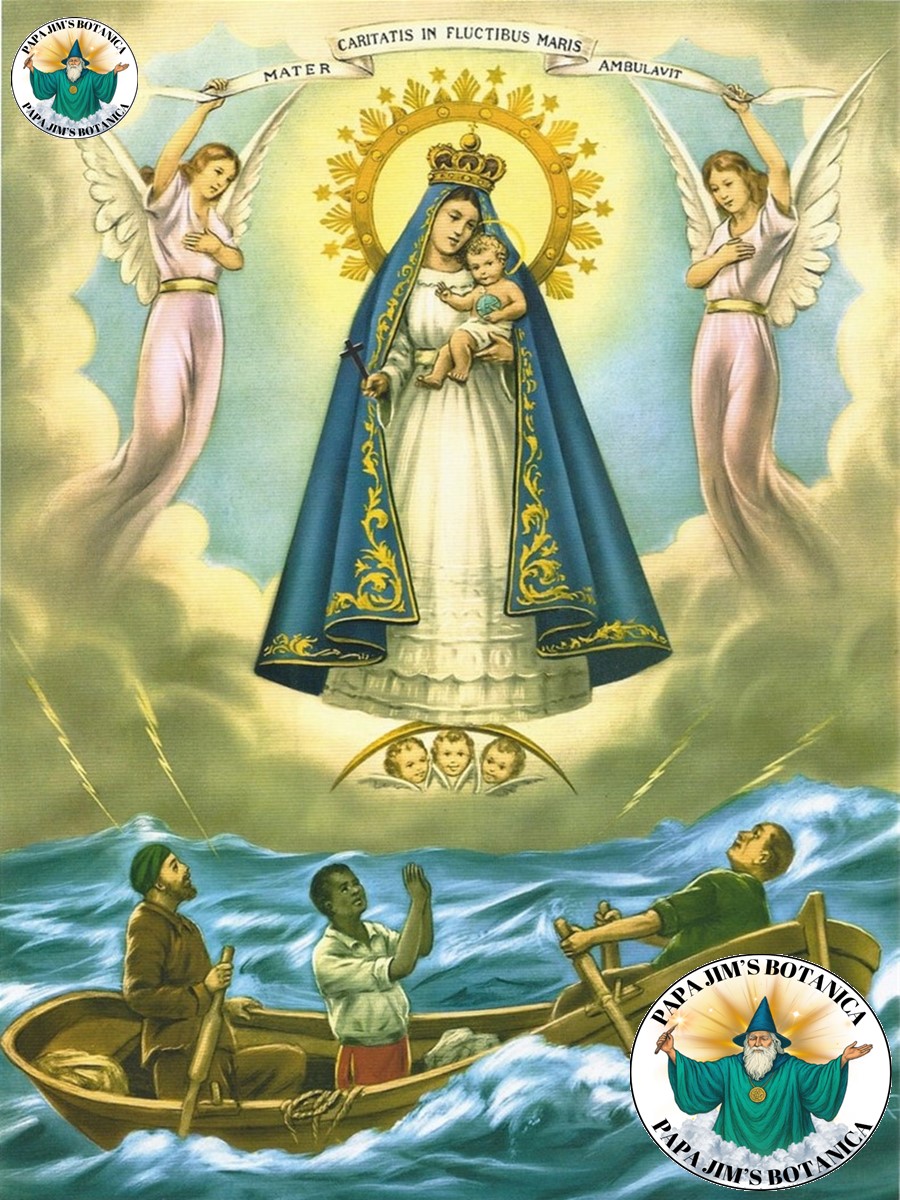 LADY OF CHARITY 8X10 PICTURE