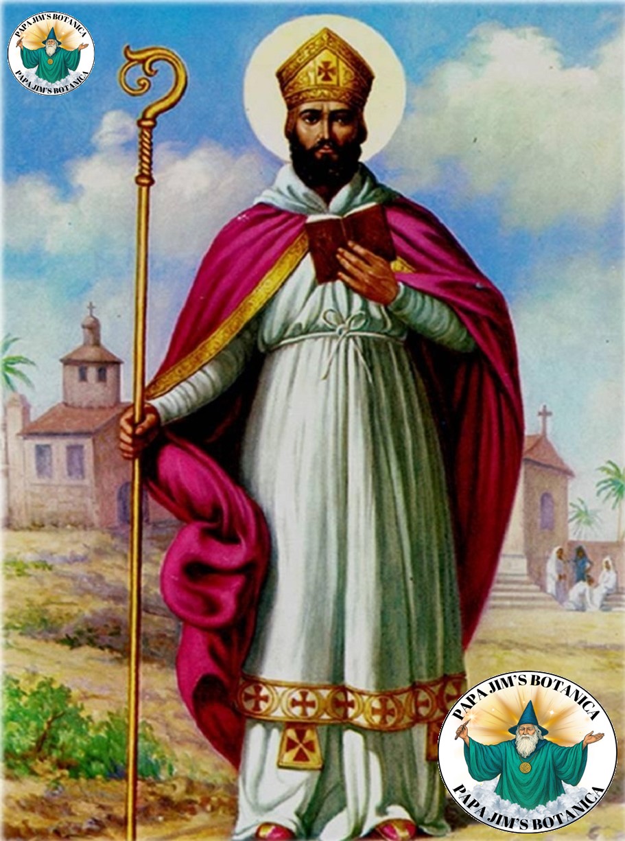 SAINT CIPRIANO 8X10 PICTURE