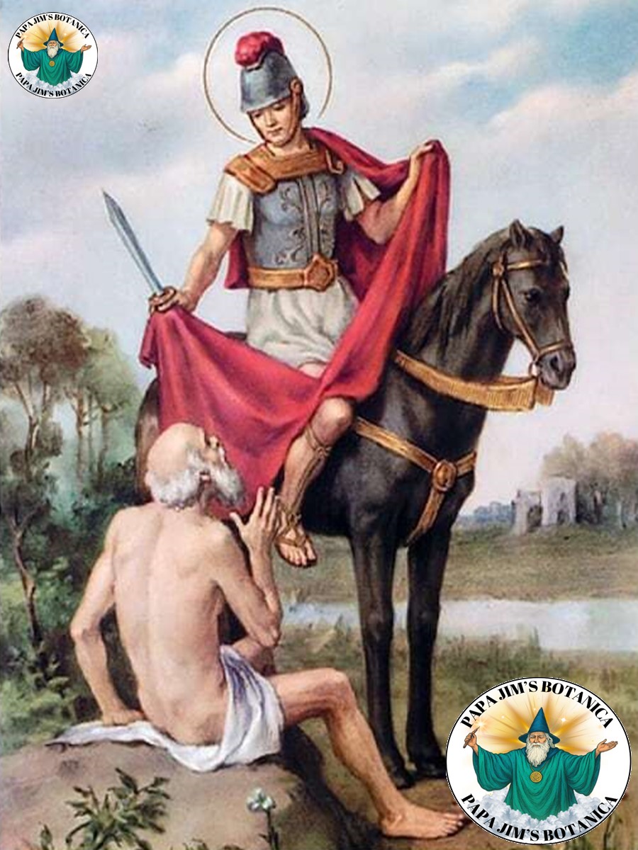 SAN MARTIN CABALLERO 8X10 PICTURE