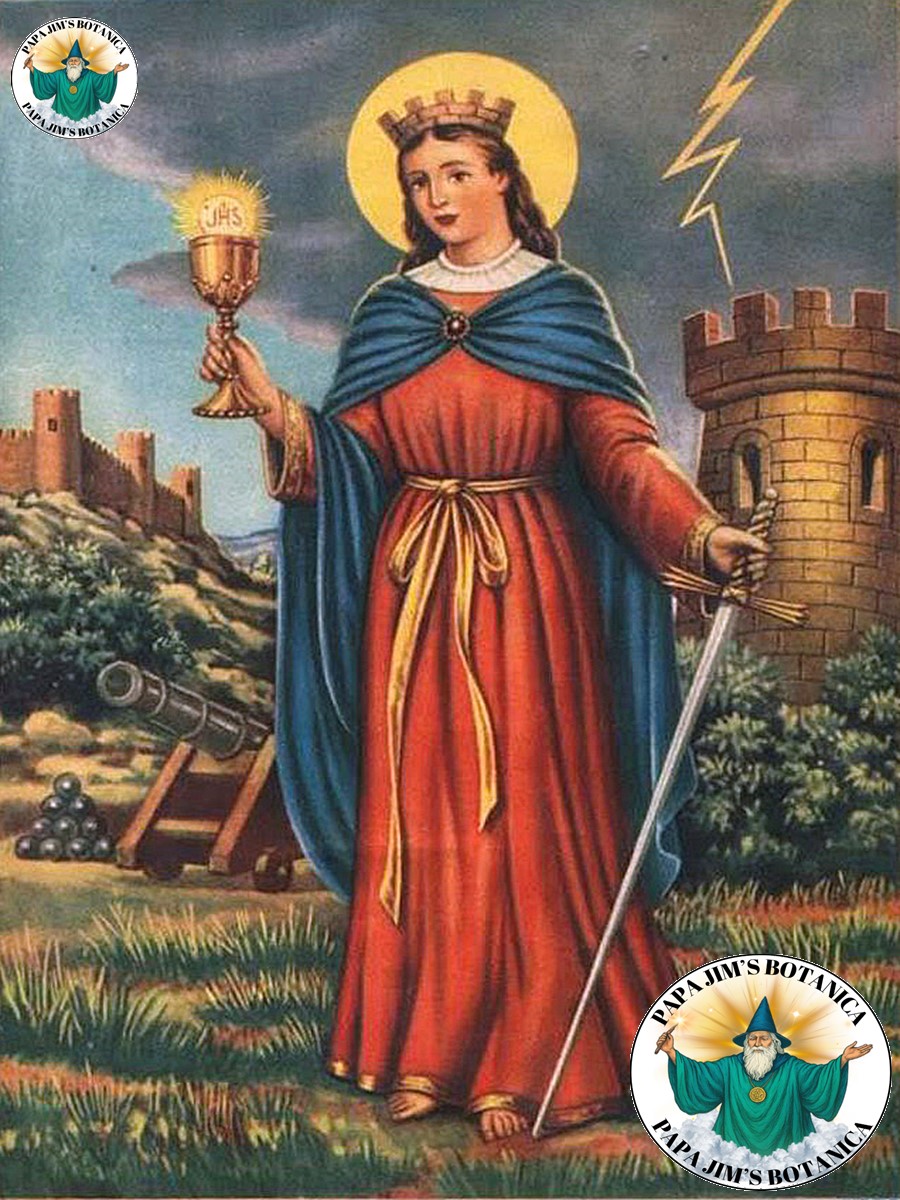 SAINT BARBARA 8X10 PICTURE