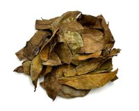 HOJAS DE GUANABANA (SOURSOP LEAVES)